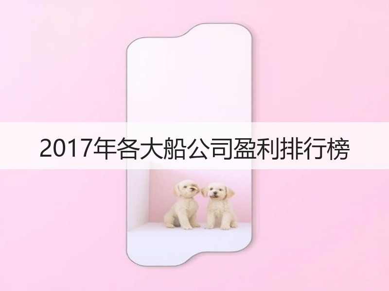 2017年各大船公司盈利排行榜