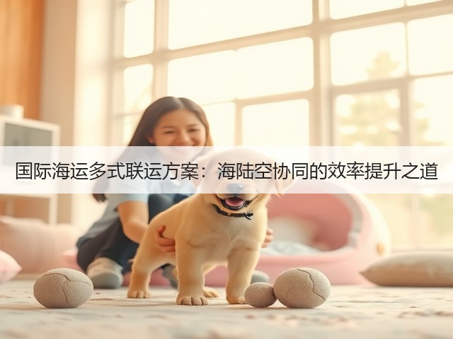 国际海运多式联运方案：海陆空协同的效率提升之道(图1)