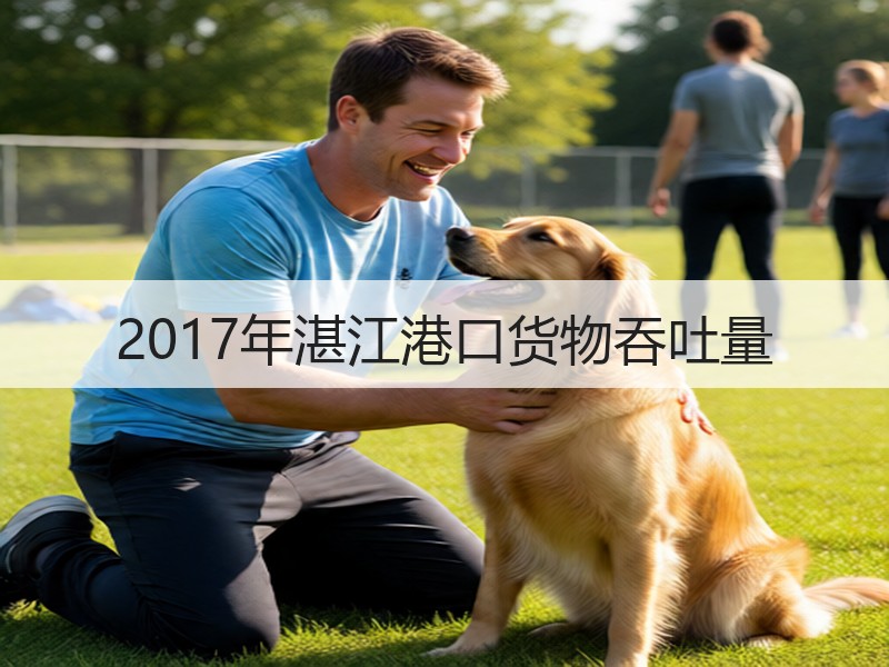 2017年湛江港口货物吞吐量