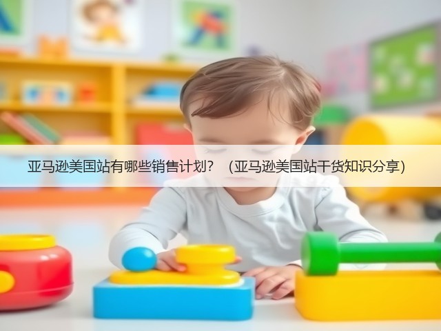亚马逊美国站有哪些销售计划？（亚马逊美国站干货知识分享）(图1)