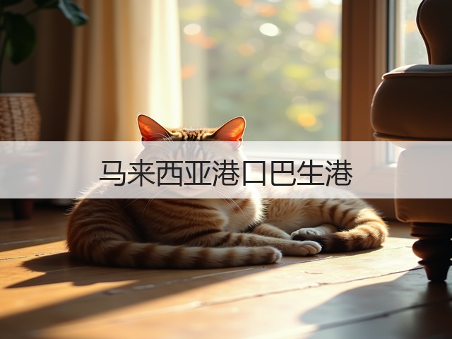马来西亚港口巴生港(图2) 马来西亚港口巴生港(图2)