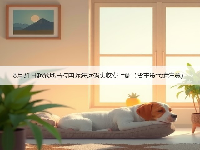 8月31日起危地马拉国际海运码头收费上调（货主货代请注意）(图1)