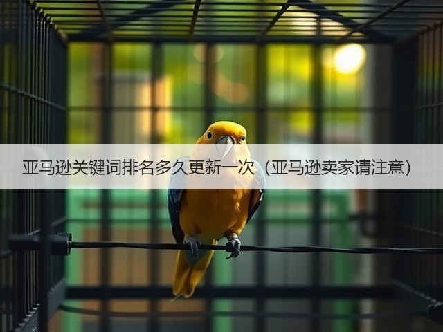 亚马逊关键词排名多久更新一次（亚马逊卖家请注意）(图1)