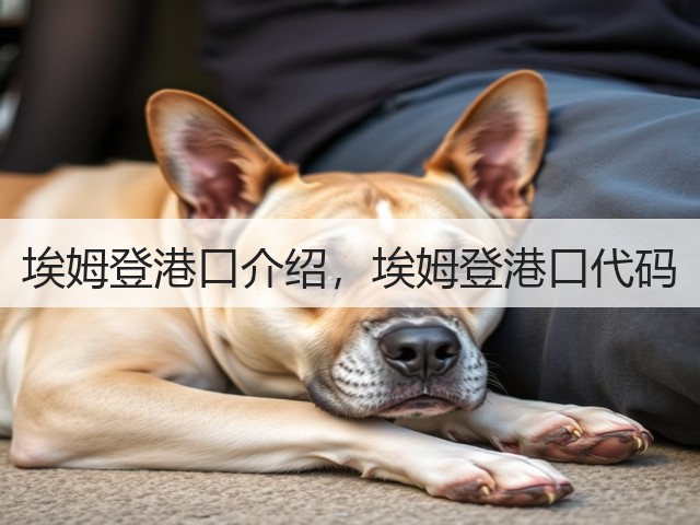 埃姆登港口介绍,埃姆登港口代码(图1) 埃姆登港口介绍,埃姆登港口代码(图1)