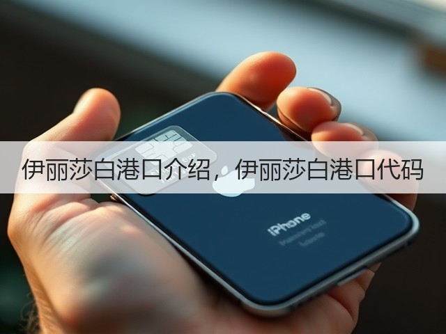 伊丽莎白港口介绍，伊丽莎白港口代码(图3)