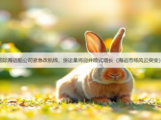 国际海运船公司紧急改航线,货运量将迎井喷式增长(海运市场风云突变)(图3) 国际海运船公司紧急改航线,货运量将迎井喷式增长(海运市场风云突变)(图3)