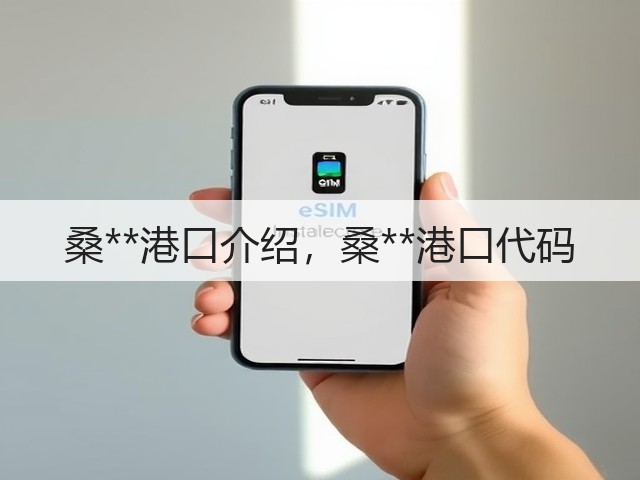 桑**港口介绍，桑**港口代码(图2)