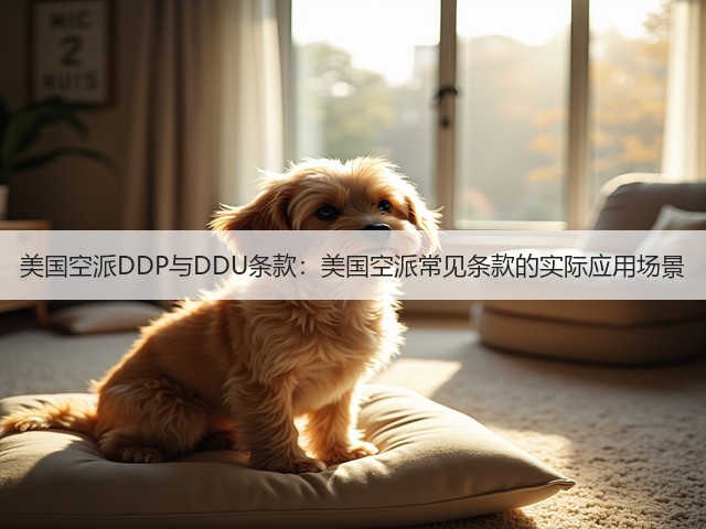 美国空派DDP与DDU条款：美国空派常见条款的实际应用场景(图2)
