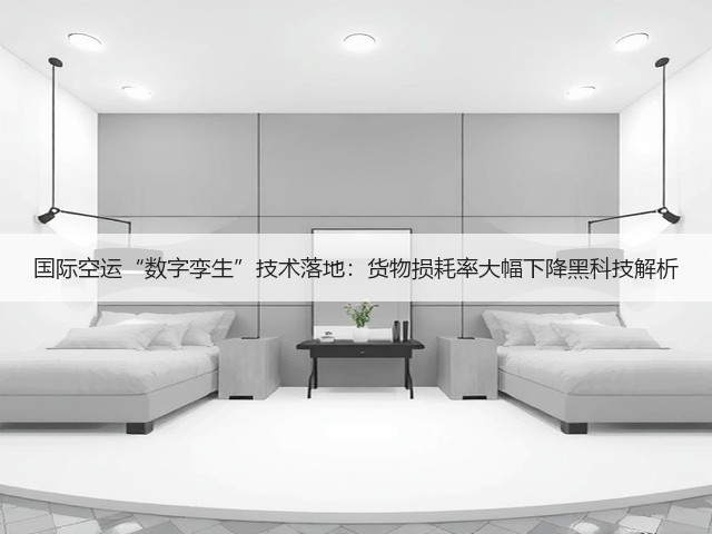 国际空运“数字孪生”技术落地:货物损耗率大幅下降黑科技解析(图3) 国际空运“数字孪生”技术落地:货物损耗率大幅下降黑科技解析(图3)
