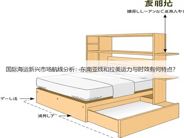 国际海运新兴市场航线分析:东南亚线和拉美运力与时效有何特点?(图3) 国际海运新兴市场航线分析:东南亚线和拉美运力与时效有何特点?(图3)