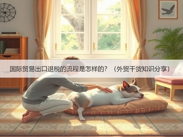 国际贸易出口退税的流程是怎样的?(外贸干货知识分享)(图3) 国际贸易出口退税的流程是怎样的?(外贸干货知识分享)(图3)