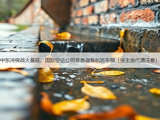 中东冲突战火蔓延,国际空运公司紧急调整航班布局(货主货代请注意)(图3) 中东冲突战火蔓延,国际空运公司紧急调整航班布局(货主货代请注意)(图3)