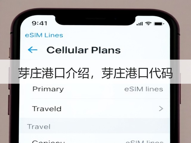 芽庄港口介绍，芽庄港口代码(图1)