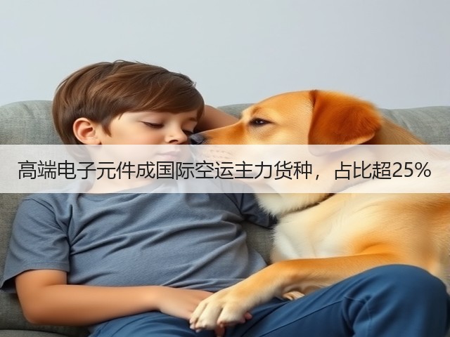 高端电子元件成国际空运主力货种，占比超25%(图1)