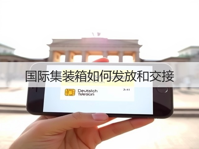 国际集装箱如何发放和交接(图3) 国际集装箱如何发放和交接(图3)