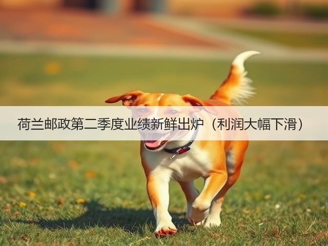 荷兰邮政第二季度业绩新鲜出炉（利润大幅下滑）(图3)