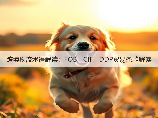 跨境物流术语解读：FOB、CIF、DDP贸易条款解读(图3)