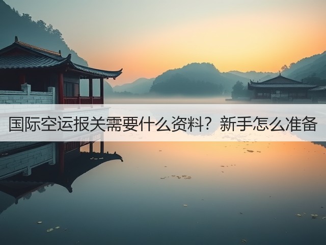 国际空运报关需要什么资料？新手怎么准备(图2)