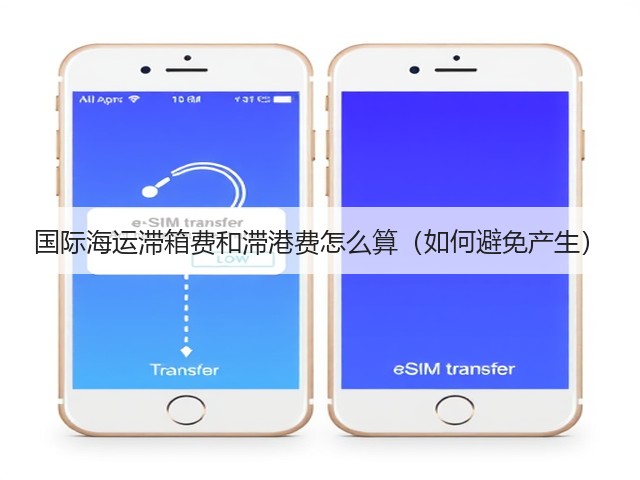 国际海运滞箱费和滞港费怎么算(如何避免产生)(图3) 国际海运滞箱费和滞港费怎么算(如何避免产生)(图3)
