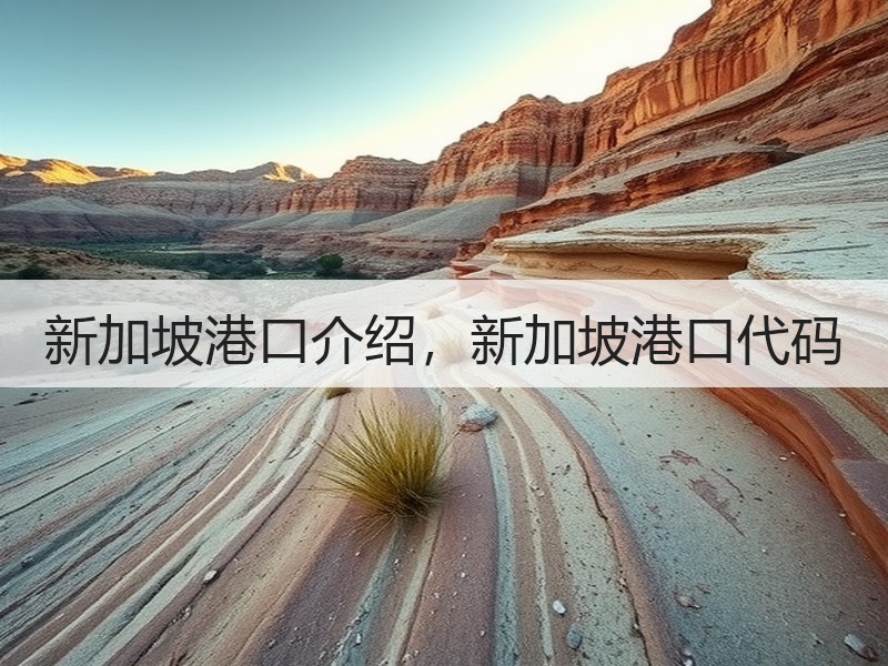 新加坡港口介绍,新加坡港口代码 新加坡港口介绍,新加坡港口代码