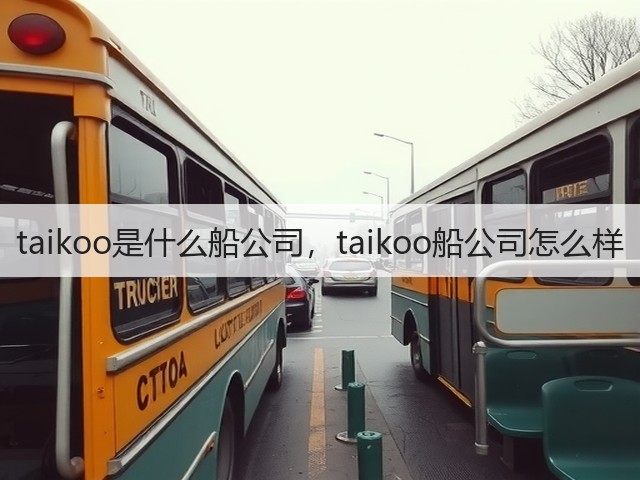 taikoo是什么船公司，taikoo船公司怎么样(图3)