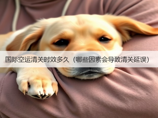 国际空运清关时效多久(哪些因素会导致清关延误)(图3) 国际空运清关时效多久(哪些因素会导致清关延误)(图3)