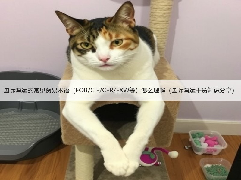 国际海运的常见贸易术语（FOB/CIF/CFR/EXW等）怎么理解（国际海运干货知识分享）