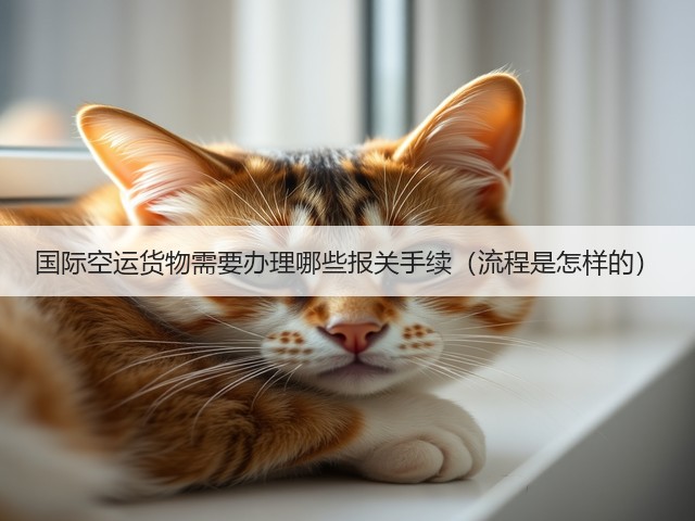 国际空运货物需要办理哪些报关手续(流程是怎样的)(图2) 国际空运货物需要办理哪些报关手续(流程是怎样的)(图2)