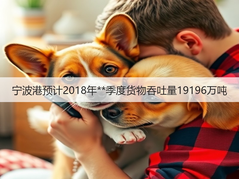 宁波港预计2018年**季度货物吞吐量19196万吨
