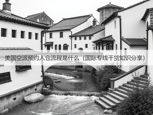美国空派预约入仓流程是什么（国际专线干货知识分享）(图1)