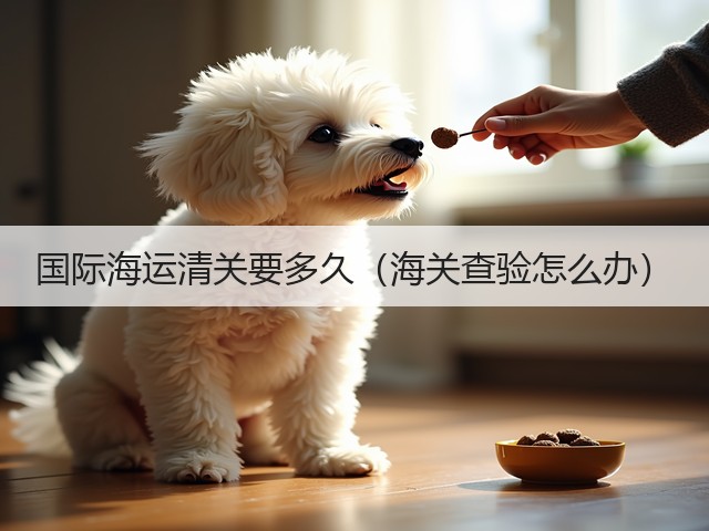 国际海运清关要多久（海关查验怎么办）(图1)