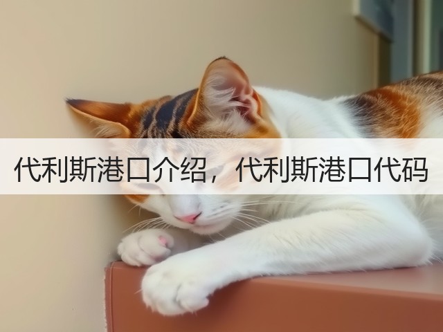 代利斯港口介绍,代利斯港口代码(图1) 代利斯港口介绍,代利斯港口代码(图1)
