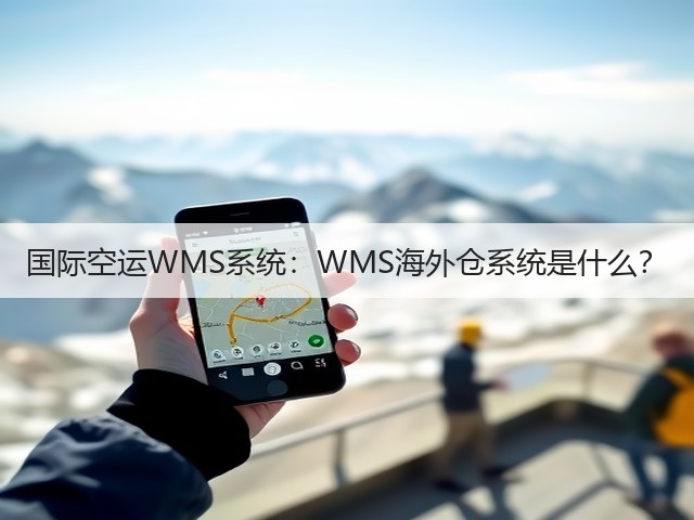 国际空运WMS系统：WMS海外仓系统是什么？(图1)
