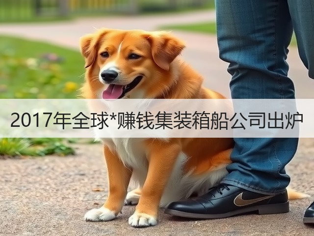 2017年全球*赚钱集装箱船公司出炉(图1)
