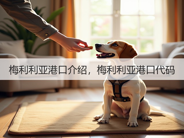 梅利利亚港口介绍，梅利利亚港口代码(图1)