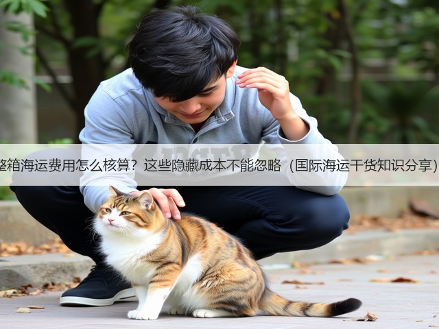 整箱海运费用怎么核算？这些隐藏成本不能忽略（国际海运干货知识分享）(图1)