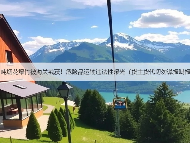 15吨烟花爆竹被海关截获!危险品运输违法性曝光(货主货代切勿谎报瞒报)(图1) 15吨烟花爆竹被海关截获!危险品运输违法性曝光(货主货代切勿谎报瞒报)(图1)