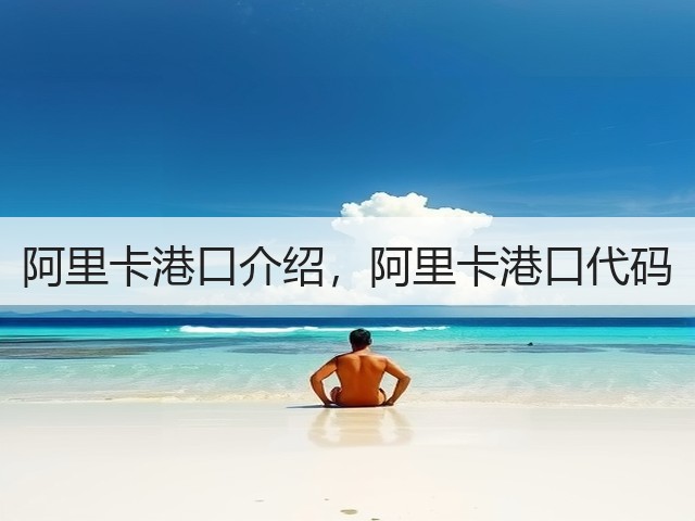 阿里卡港口介绍，阿里卡港口代码(图3)