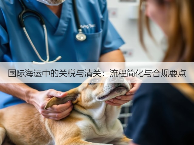国际海运中的关税与清关:流程简化与合规要点(图1) 国际海运中的关税与清关:流程简化与合规要点(图1)
