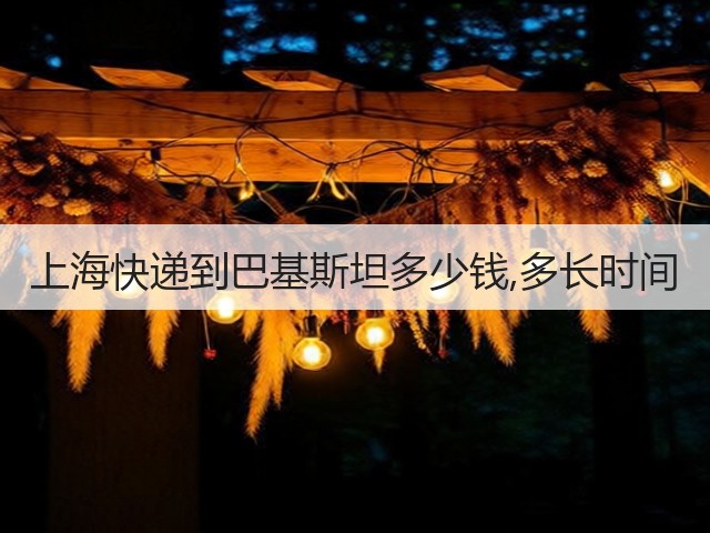 上海快递到巴基斯坦多少钱,多长时间(图1) 上海快递到巴基斯坦多少钱,多长时间(图1)