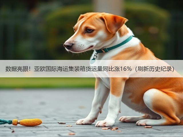 数据亮眼！亚欧国际海运集装箱货运量同比涨16%（刷新历史纪录）(图1)