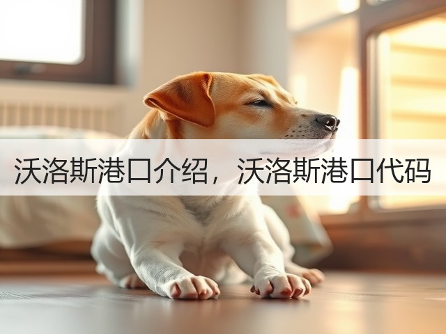 沃洛斯港口介绍,沃洛斯港口代码(图2) 沃洛斯港口介绍,沃洛斯港口代码(图2)