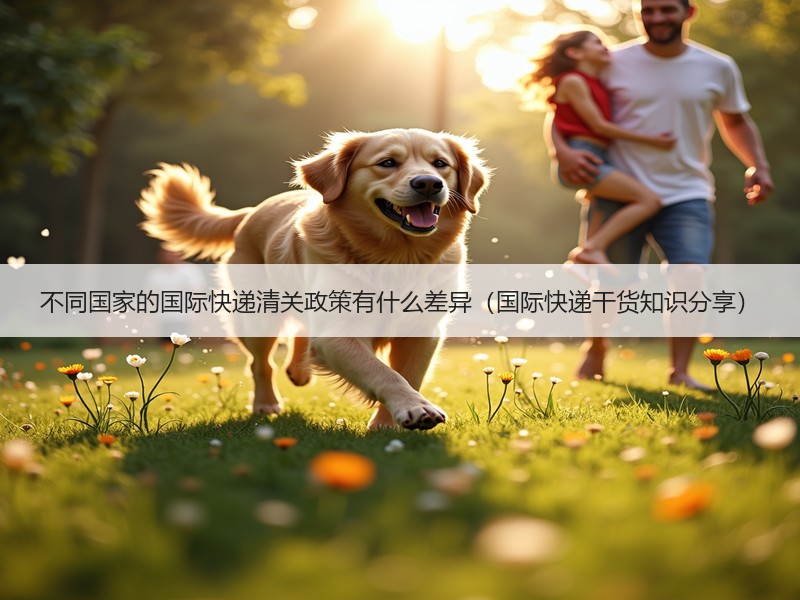 不同国家的国际快递清关政策有什么差异（国际快递干货知识分享）