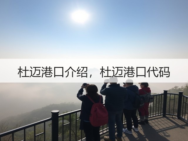 杜迈港口介绍，杜迈港口代码(图3)