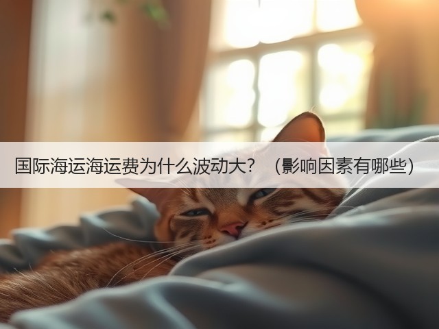 国际海运海运费为什么波动大?(影响因素有哪些)(图3) 国际海运海运费为什么波动大?(影响因素有哪些)(图3)