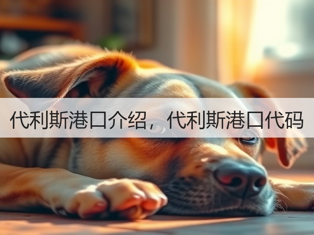 代利斯港口介绍,代利斯港口代码(图2) 代利斯港口介绍,代利斯港口代码(图2)