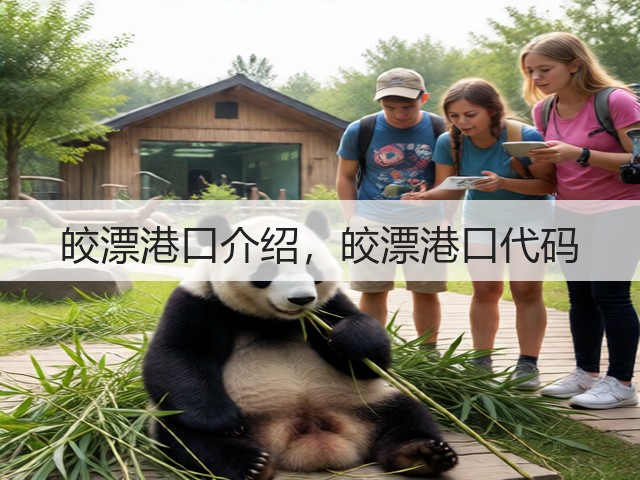 皎漂港口介绍，皎漂港口代码(图1)