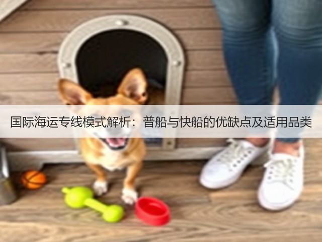 国际海运专线模式解析:普船与快船的优缺点及适用品类(图3) 国际海运专线模式解析:普船与快船的优缺点及适用品类(图3)