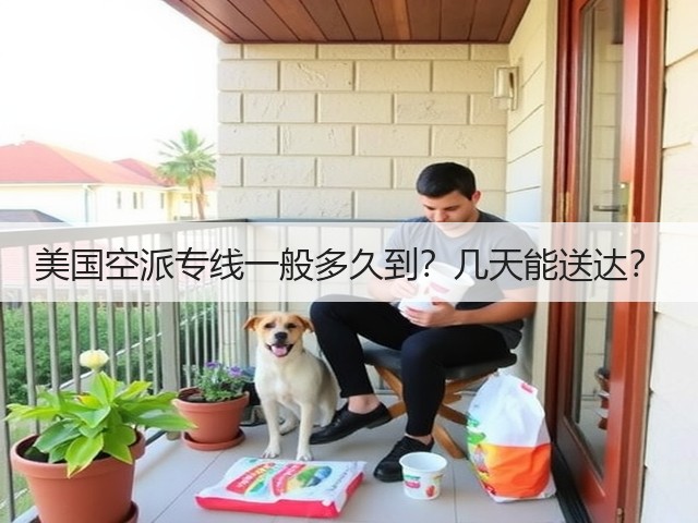 美国空派专线一般多久到?几天能送达?(图3) 美国空派专线一般多久到?几天能送达?(图3)
