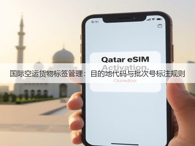 国际空运货物标签管理：目的地代码与批次号标注规则(图3)
